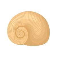 engraved seashell design vector