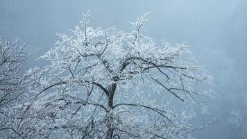 The beautiful frozen mountains view coverd by the white snow and ice in winter photo