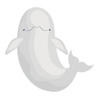 big beluga design vector