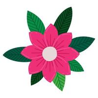 cute pink flower vector