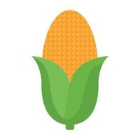 big corn design vector