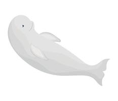 colored beluga design vector