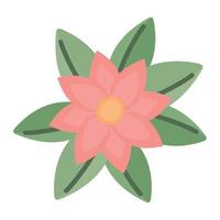 colored flower illustration vector