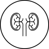 riñón único vector icono