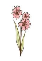 linda floral botánico resumen flores y plantas. boho garabatear vector ilustraciones.