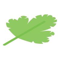 Parsley leaf icon isometric vector. Plant food vector