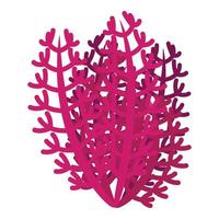 Pink seaweed icon isometric vector. Marine alga vector