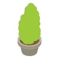 Ornamental plant icon isometric vector. Decorative coniferous green plant in pot vector