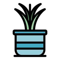 Decoration plant pot icon vector flat