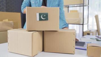 Pakistaans vlag Aan logistiek lading pakket. lading pakket met vlag van Pakistan. video