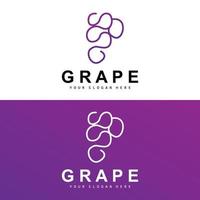 Grape Fruit Logo, Circle Style Fruit Design, Grape Farm Vector, Wine Drink, Nature Icon, Illustration Template vector