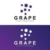 Grape Fruit Logo, Circle Style Fruit Design, Grape Farm Vector, Wine Drink, Nature Icon, Illustration Template vector