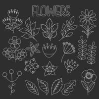 línea Arte dibujo de flores y plantas vector