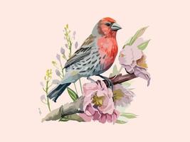 Watercolor Red crossbill bird  sparrow  vector illustration Realistic hand drawn Painting, On branches decorated by leaves and flowers, White isolated background.