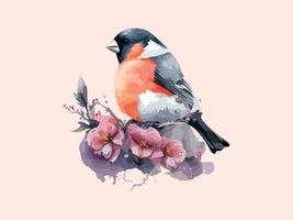 Watercolor bird and sparrow Bullfinch vector illustration Realistic hand drawn Painting, On branches decorated by leaves and flowers, White isolated background.