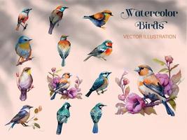 Set of watercolor birds and sparrows vector illustration,  Realistic hand drawn Painting Collection, On branches decorated by leaves and flowers, White isolated background.