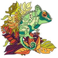 Botanical  illustration with funny chameleon in doodle technique in tropical rainforest vector