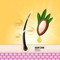 Argan extract for hair product vector illustration vector