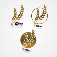 Premium Rice great quality design concept  vector. vector