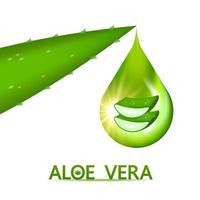 aloe vera collagen and serum for skin care cosmetic vector