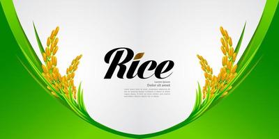 Premium Rice great quality design concept  vector. vector