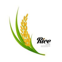 Premium Rice great quality design concept  vector. vector