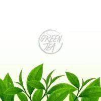 Premium green tea for good health vector illustration.