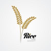 Premium Rice great quality design concept  vector. vector