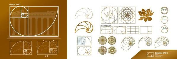 Golden ratio for creative design section vector illustration.