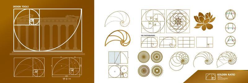 Golden Ratio Vector Art, Icons, and Graphics for Free Download