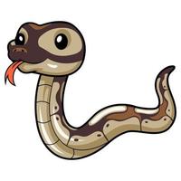 Cute black head butter ball python cartoon vector