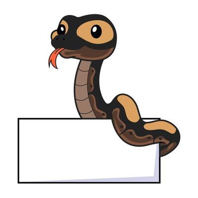 Cute ghi mojave ball python cartoon with blank sign