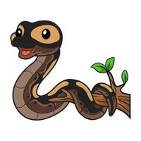 Cute ghi mojave ball python cartoon on tree branch vector