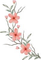 skön vattenfärg blomma arrangemang png