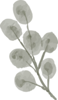 isolated watercolor illustration of leaves png