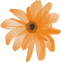 watercolor illustration of orange flower png