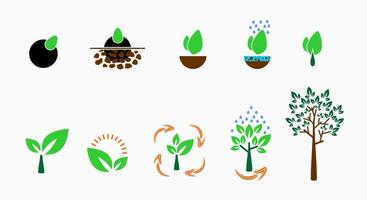 Seed evolution into big tree, plant icon, concept icon. plant growth process. The environment that affects plant growth and caring for plants vector