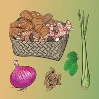 set of traditional herbs vector