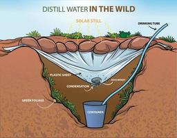 infografía de destilar agua en el salvaje vector