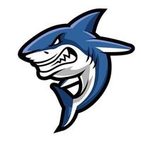 tiburón mascota logo. tiburón deporte logo vector