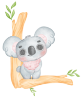 mignonne oreilles floues innocence bébé koala sur une arbre branche aquarelle illustration png