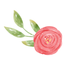 acuarela dulce floral guirnalda flor bandera mano dibujado gráfico ilustración png