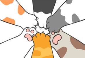 cute kitten cat paw hand on human hand love and team work concept cartoon drawing png