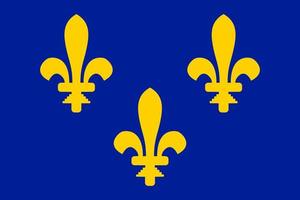 Flag of medieval France, with lilies.  Full size, vector