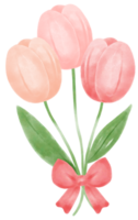 söt ljuv rosa tulpan blommor vattenfärg hand målning tecknad serie klotter vår kärlek säsong png