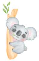 mignonne oreilles floues innocence bébé koala sur une arbre branche aquarelle illustration png