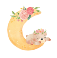 cute adorable innocence baby brown bear on floral crescent moon nursery  watercolour illustration png