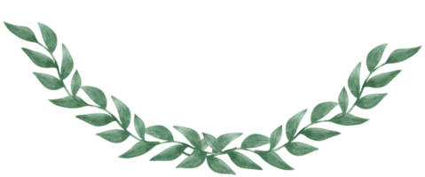 watercolour green leaf foliage wreath frame hand drawn illustration png