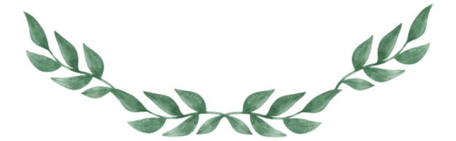vattenfärg grön blad lövverk krans ram hand dragen illustration png