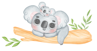 süß Fuzzy-Ohren Unschuld Baby Koala auf ein Baum Ast Aquarell Illustration png